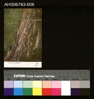 藏品(台灣風景斷崖明信片)的圖片